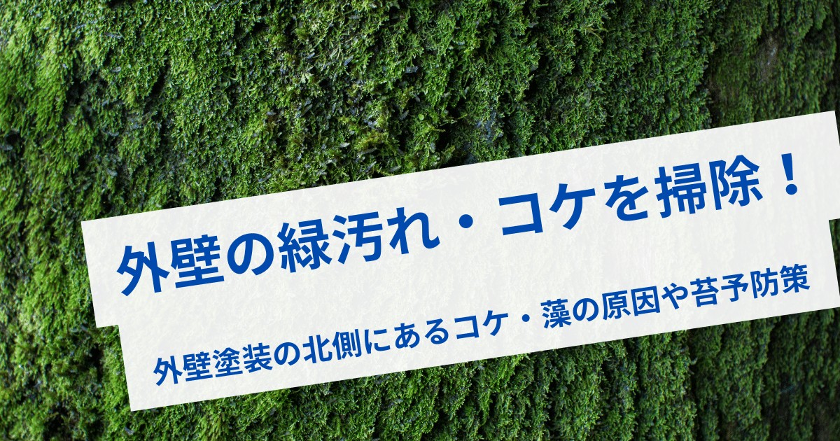 外壁の緑汚れ・コケを掃除！外壁塗装の北側にあるコケ・藻の