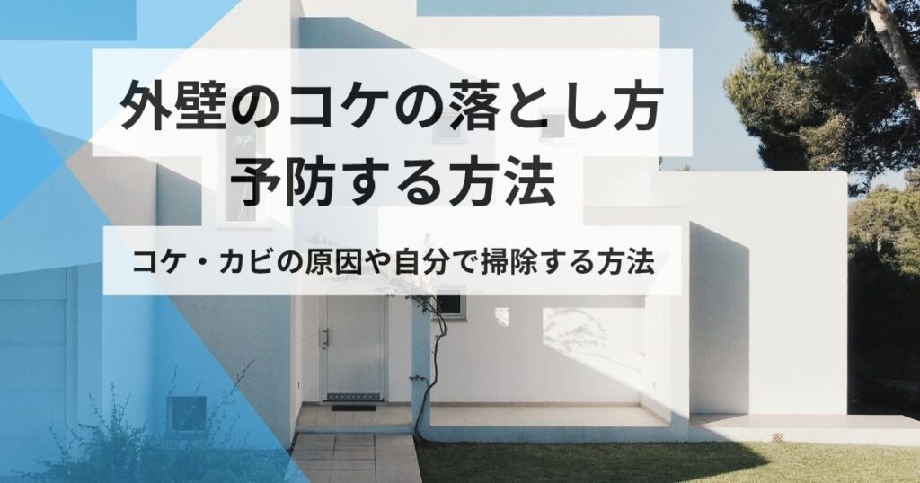外壁コケ