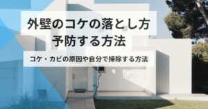 外壁コケ