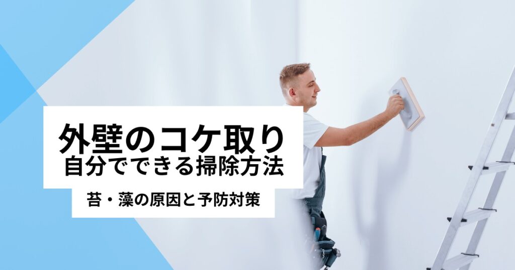 【外壁のコケ取り】自分でコケ落とし掃除｜外壁塗装業者の苔洗浄と予防