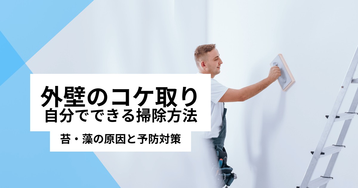 【外壁のコケ取り】自分でコケ落とし掃除｜外壁塗装業者の苔洗浄と予防