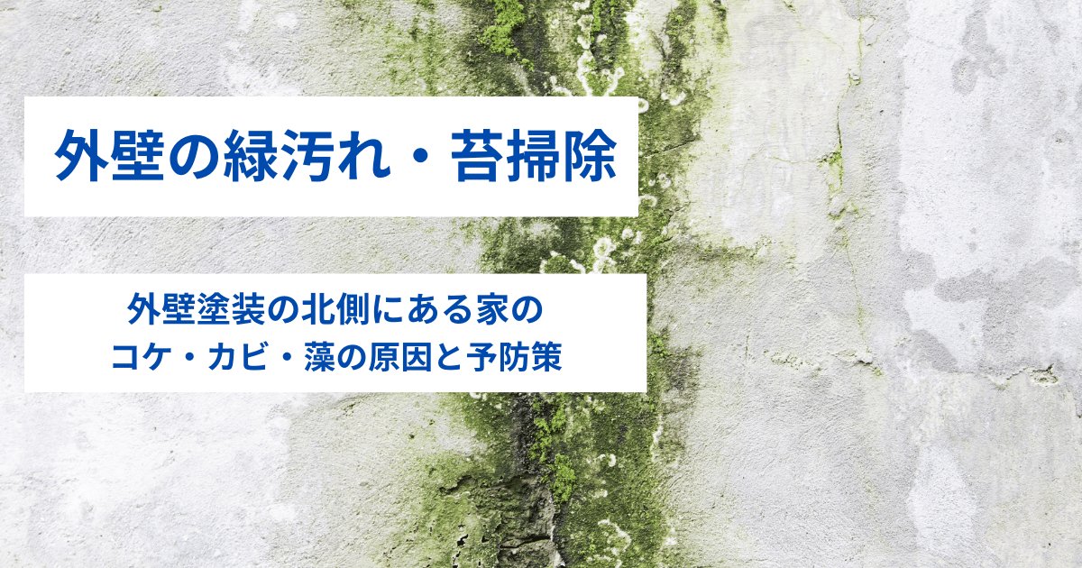 外壁の緑汚れ・苔掃除｜外壁塗装の北側にある家のコケ・カビ・藻の原因と予防