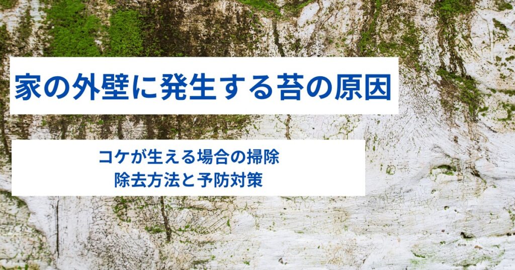 外壁塗装でコケの原因｜コケが生える場合の掃除・除去方法や予防対策を解説！