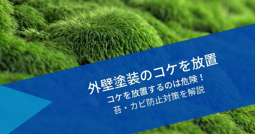 外壁塗装でコケ放置｜コケ落としで除去する方法と防カビの原因・防止策