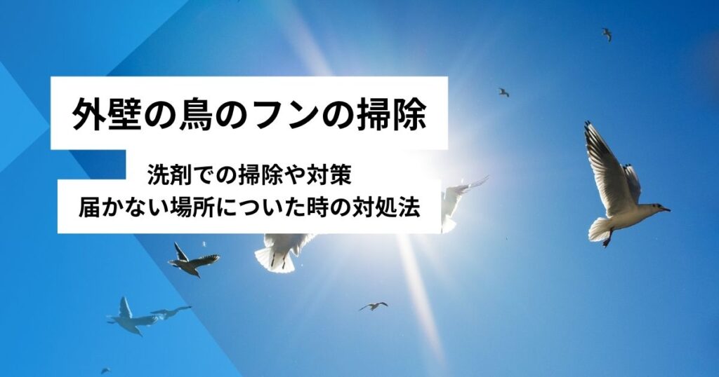 外壁鳥のフン掃除