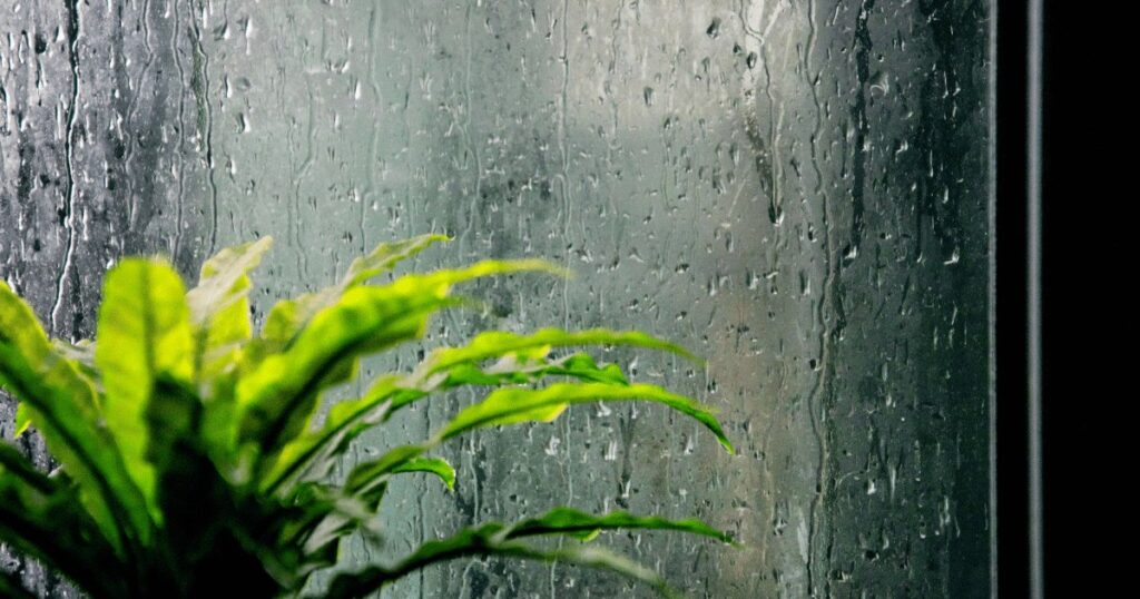 外壁の高圧洗浄は雨の日がおすすめ