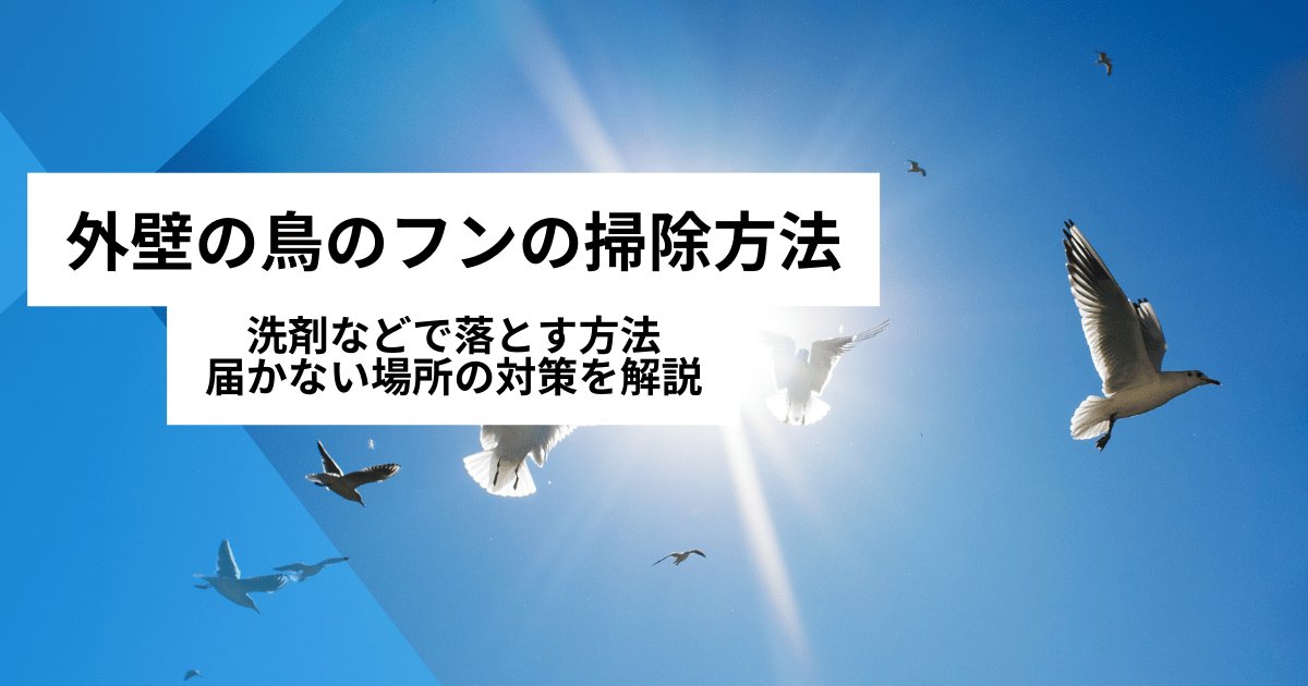 外壁の鳥のフンの掃除方法｜洗剤などで落とす方法・届かない場所の対策を解説