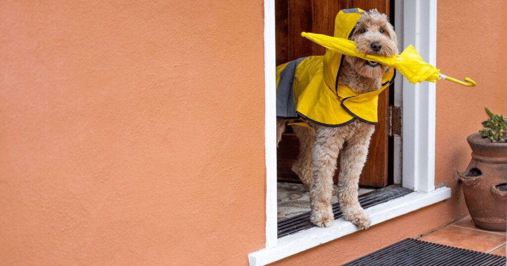 外壁塗装を雨の日にできない理由