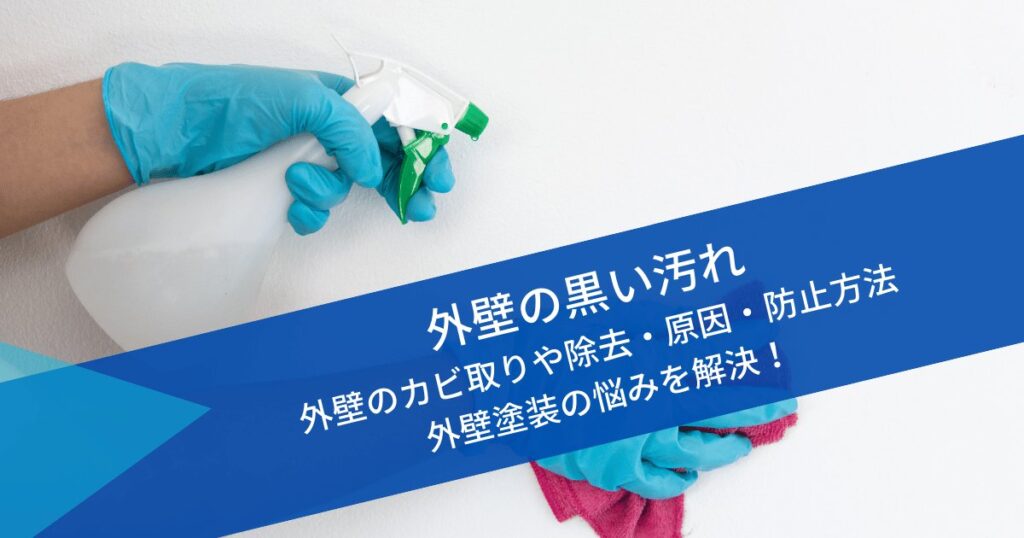 外壁の黒い汚れ｜外壁のカビ取りや除去・原因・防止方法で外壁塗装の悩み解決