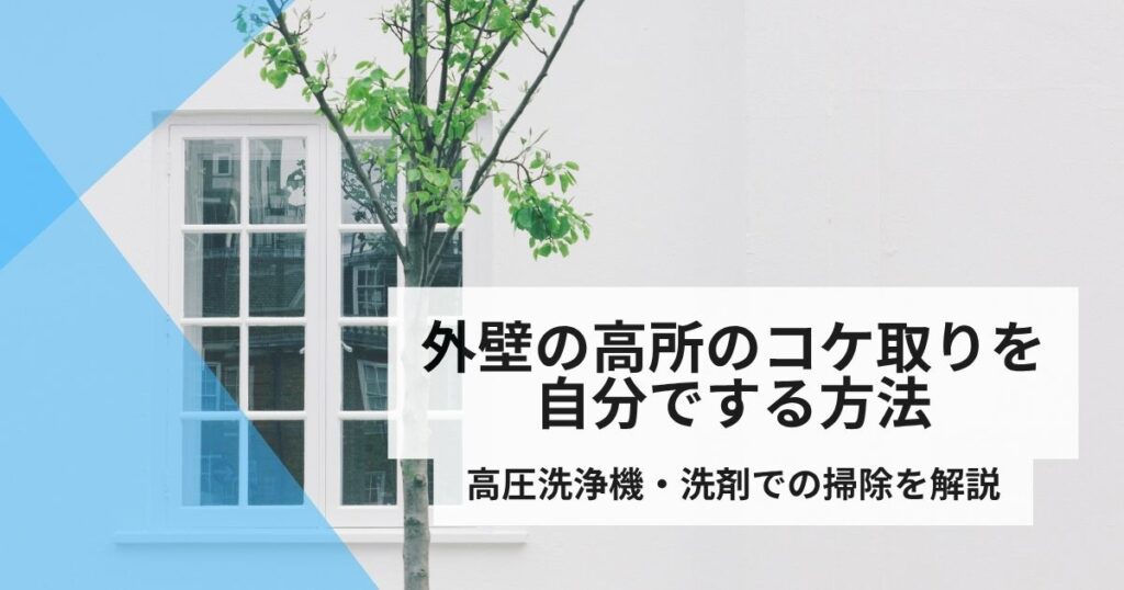 外壁高所コケ