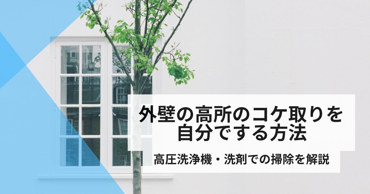 外壁高所コケ