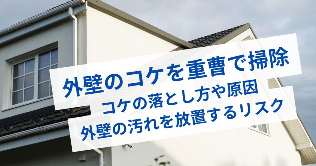 外壁コケ重曹掃除