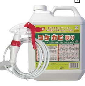 家 外壁 掃除