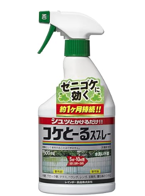 家 外壁 掃除