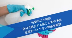 外壁コケ掃除